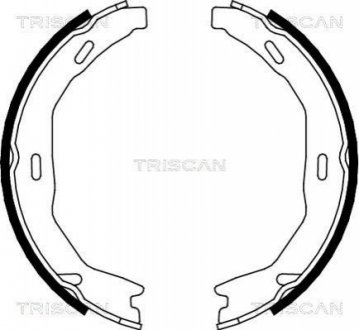Гальмівні колодки ручного гальма TRISCAN 810023029 (фото 1)