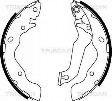 Колодки дискового тормоза TRISCAN 810043013