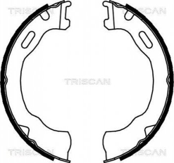 Гальмівні колодки ручного гальма TRISCAN 810080007 (фото 1)