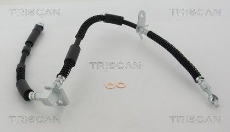 Тормозной шланг TRISCAN 8150 17304 (фото 1)