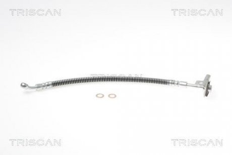 Тормозной шланг TRISCAN 8150 18134 (фото 1)