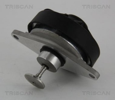 Клапан TRISCAN 881324202 (фото 1)