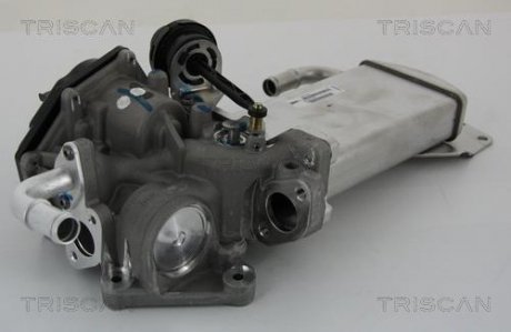 Клапан з радіатором AGR системи EGR VW T5 2.0TDI 09- TRISCAN 881329303