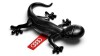 Ароматизатор Gekko пряний деревний аромат (Black) VAG 000 087 009D (фото 2)