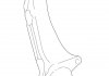 Поворотний кулак VAG 8D0407257AL (фото 1)