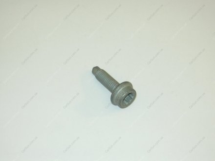 Гвинт з циліндричною головкою VAG N 10719301 (фото 1)