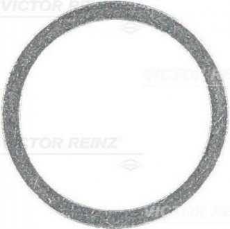 Кольцо уплотнительное VICTOR REINZ 417106500 (фото 1)