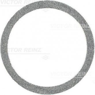 Кольцо уплотнительное VICTOR REINZ 41-71076-00 (фото 1)