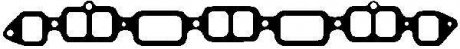 Прокладка, впускной / выпускной коллектор VICTOR REINZ 71-20661-20 (фото 1)