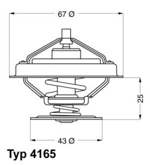 Термостат WAHLER 4165.79D