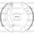 Колодки гальмівні барабанні WOKING Z4396.01 (фото 1)