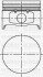 Поршень с кольцами і пальцем  (размер отв. 79,50/ STD) LOGAN 1.4 04- (4цл.) (K7J) 3104169000