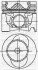 Поршень с кольцами і пальцем (размер отв. 81.01/STD) LT 2.5TDI -06 (AVR Turbo VGT, Inter cool 109PS) 3104338000