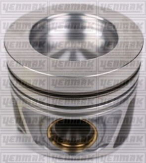 Поршень VW Caddy/Crafter 2.0TDI 10- (81.01mm/STD) Yenmak 3104344000